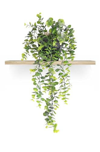 Planta Artificial Pendente com Vaso Preto Incluso (Arranjo Pronto) - Planta Artificial Caída para Pr