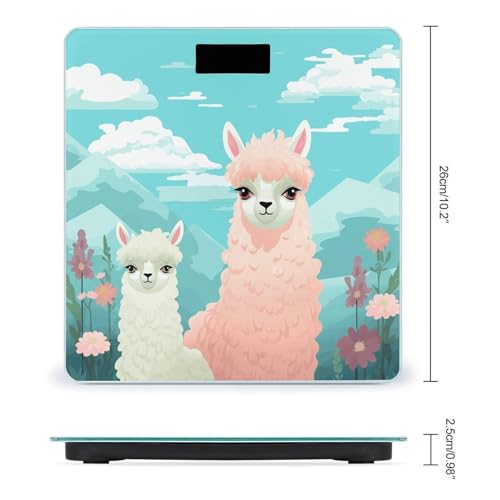 Báscula digital baño con vidrio templado y pantalla LCD miniatura 2