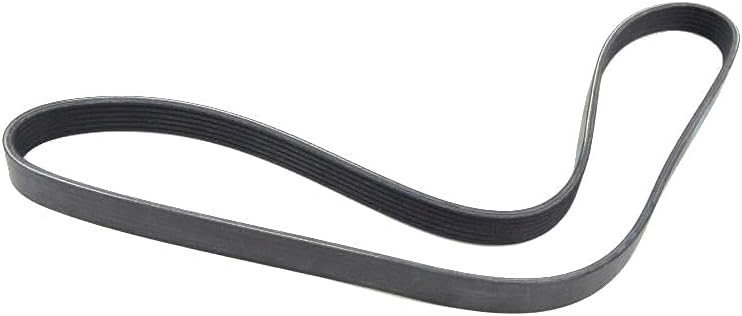 Serpentine Belt