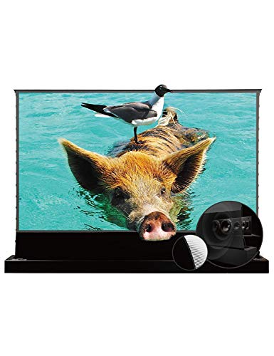 VIVIDSTORM-Projection Screen Stand S PRO P 92inch Portable Ambient Light Rejecting 4k Laser Projector Screen with Sound Transparent Perforated Compatible with UST Laser Projector,VBSDSTUST92HP