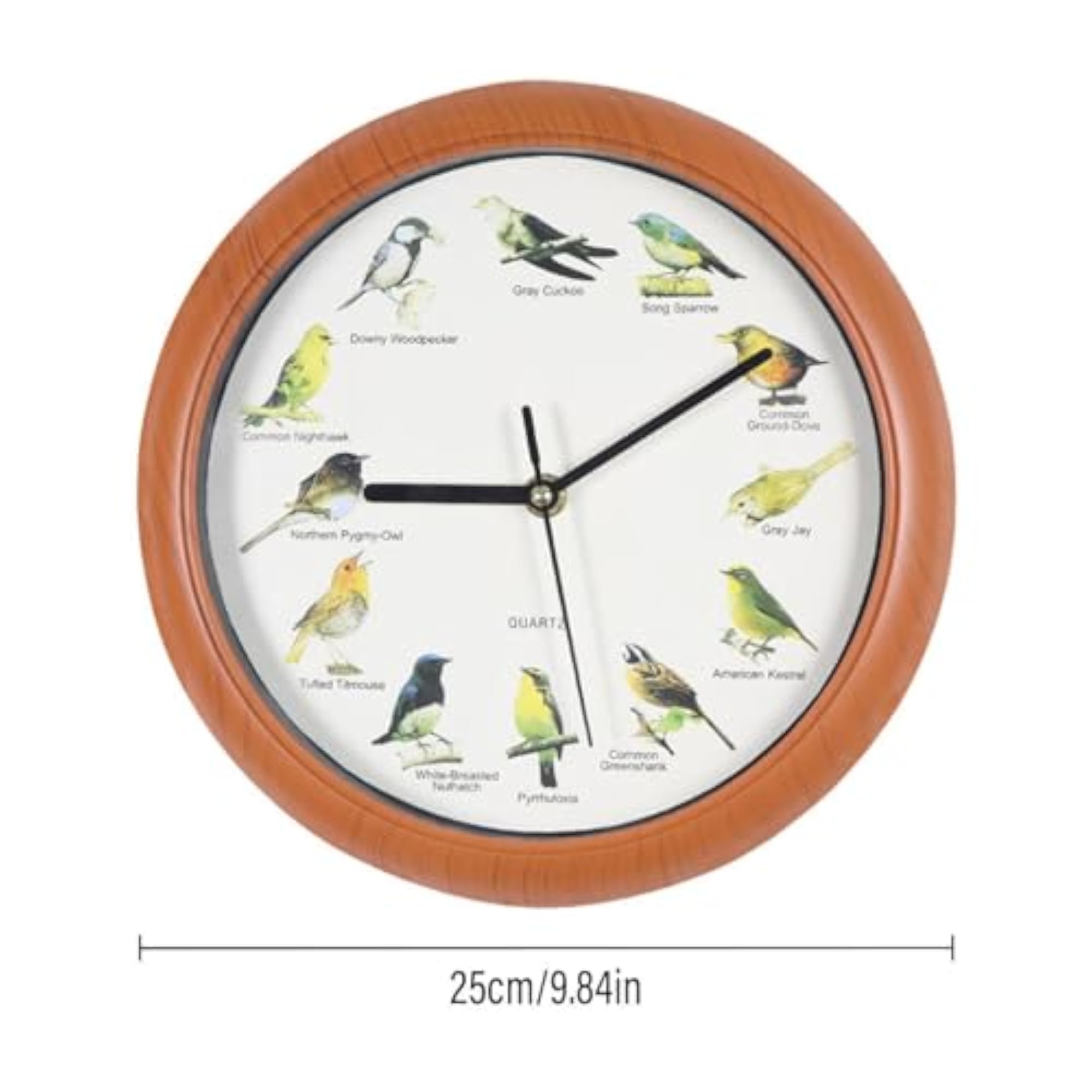 Simple Lampshade Floor Lamp with Decorative Wall Clocks