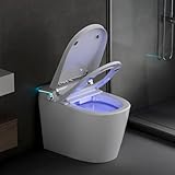 Smart Toilet with Bidet Built in, Bidet Toilet with Heated Seat and Night Light, One Piece Toilet for Bathroom, Auto Soft Close, UV-C light, Foam Shield, Full/Half Flush