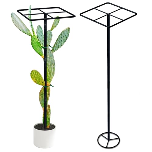 iCHKED 63'' Metal Dragon Fruit Trellis, Adjust Durable Dragon Fruit Plant Trellis Support Garden Fruit Stand for Vertical Climbing Plants Trees Cactus Roses Vines Outdoor Indoor,1 Pcs