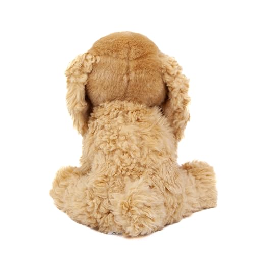 Teddys Rothenburg Kuscheltier Hund Cocker Spaniel 28 cm sitzend goldblond Plüschtier Stofftier Plüschhund Stoffhund