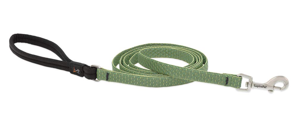 Laisse pour petit chien idéale pour balade quotidienne ECO Mousse 1,2m légère