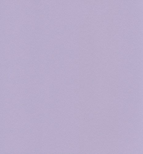 エスケント ケント紙 スターカラー 八切 ライラック 100枚 5731008