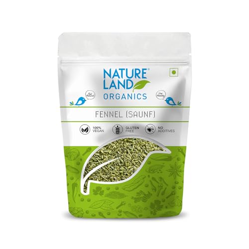 Image of Natureland Organics Fennel (Saunf) 100 Gm (Pack of 4) Total 400 Gm