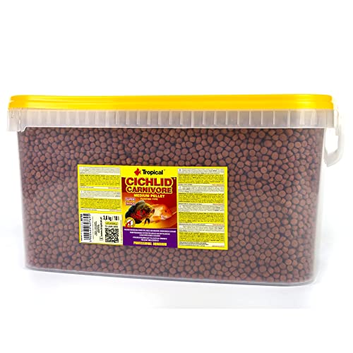 Alimento cíclidos carnívoros para evitar turbidez en acuarios grandes pellet 10L 2