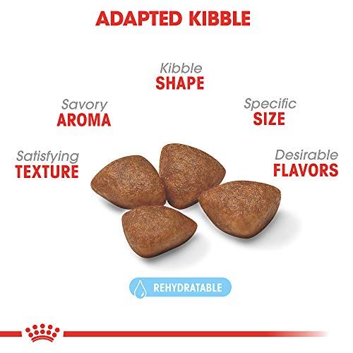 Royal Canin Size Health Nutrition Small Starter Mother And Babydog Dry Dog Food, 2 Lb #TOP1