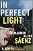 In Perfect Light: A Novel