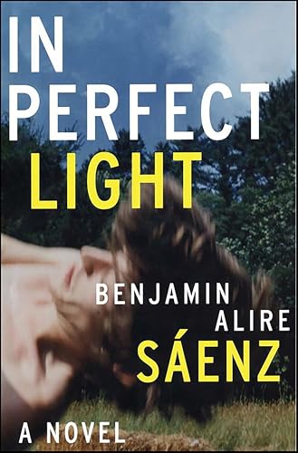 In Perfect Light: A Novel