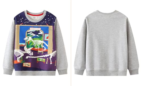 Boys Sweatshirts Casual Sweatshirts Cotton Sweatshirts Long Sleeve T-shirts Crew Neck Cartoon Tops for Boys-6034