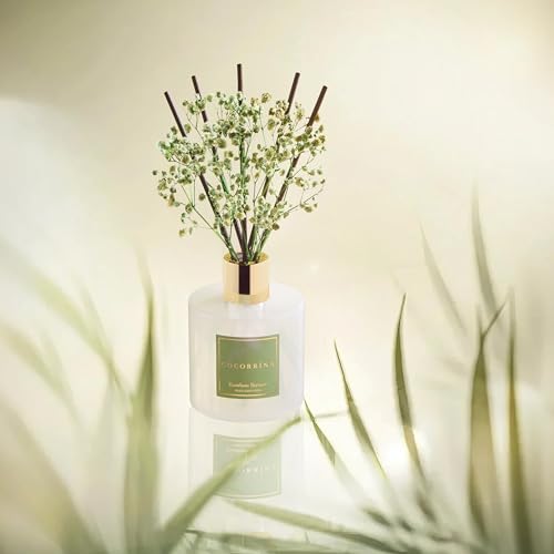 Image of Cocorrina Reed Diffuser - Bamboo Stream Scented Diffuser with 8 Sticks Home Fragrance Reed Diffuser for Bathroom Shelf Decor