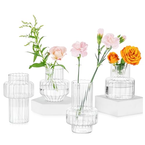 Glasseam Glass Bud Vases for Centerpieces: 4Pcs Clear Small Vase for Flowers Wedding Table Centerpieces - Modern Mini Decorations for Cute Vintage Home Living Room Decor