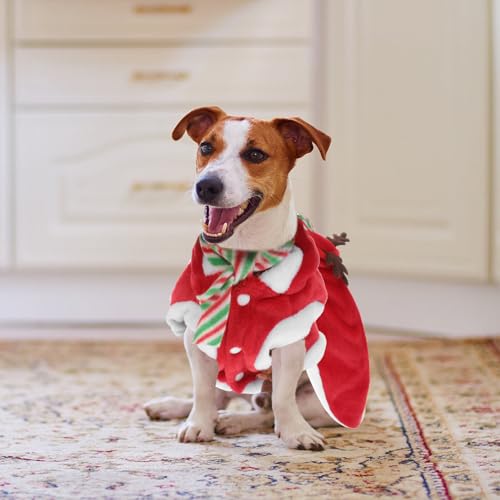 Disfraz Navidad para Perro y Bufanda Rojo XXL miniatura 5