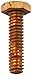 NSI HB404 Silicon Bronze Bolt, 1/4
