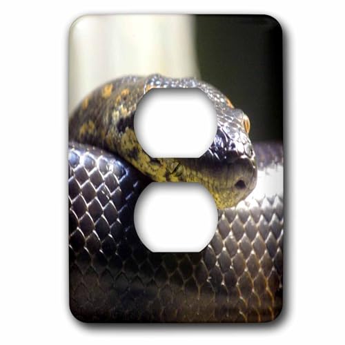 Capot de prise portrait de serpent cache double prise pour masquer le plastique blanc