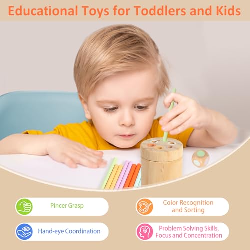 Image of Wooden Montessori Baby Toddler Toys for 1+ Year Old, Color Sorting Fine Motor Skills Matching Game Preschool Learning Activities, 2 3 4 Year Old Girls Boys Birthday Gifts