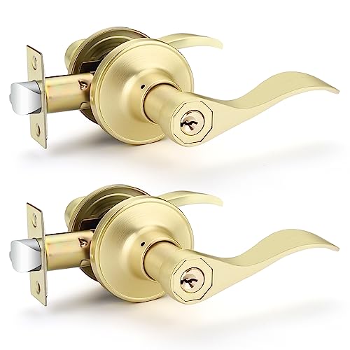 EHOMEWARE 2 Pack Gold Door Handle, Brass Interior Door Handle Entry Door Lever for Living or Bedroom, Wave Door Lever