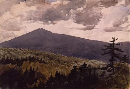 Tableaux Peinture sur Toile Montagne Brûlée par Winslow Homer Décoration Chambre 60x90cm
