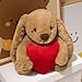 Imagen de XNAUVOI 30 cm Animal de Peluche Conejo