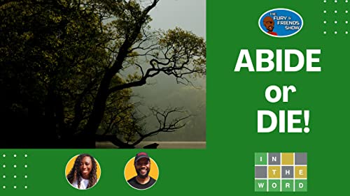 Abide or Die! (Fury & Friends)