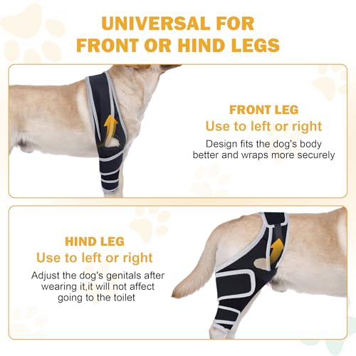Image of Dog Knee Brace for Torn ACL Hind Leg, Adjustable Dog ACL Braces Rear Leg or Front Legs with Cruciate Ligament Injuries, M