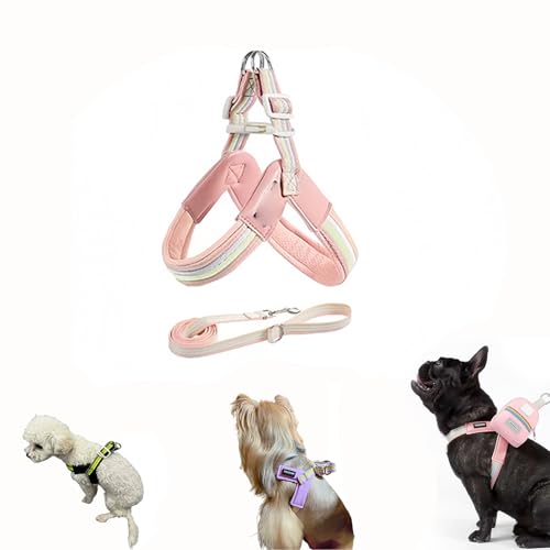  n[lX [h Zbg C  V^ AɗDn[lX p hbO ybgpi P ^ ^ ^Ɍ ʋC  |[`t U/o (sN,48×60`72cmA25`38)