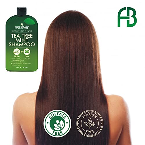 First Botany, Tea Tree Oil Shampoo 16 fl oz - Anti Dandruff Shampoo Natural Oil cleanser For Dry Itchy & Flaky Scalp - Sulfate Free Paraben Free Cleanser - Prevents Head Lice & Thinning