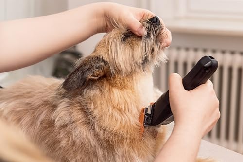 Wahl Colour Pro Rechargeable Pet Clipper – Cord/Cordless Dog Grooming Kit with Precision‑Ground Blade, 120‑Min Run Time & 8 Colour‑Coded Attachment Combs (3–25 mm).