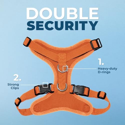 Voyager Step-in Lock Pet Harness - All Weather Mesh, Adjustable Step in Harness for Cats and Dogs by Best Pet Supplies - Orange, M - 1