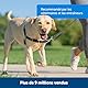 PetSafe Easy Walk-Geschirr, Anti-Zieh-Hundegeschirr, Verringert Würgen und Husten, Mit 1,8 M Leine, Größe M, Rot