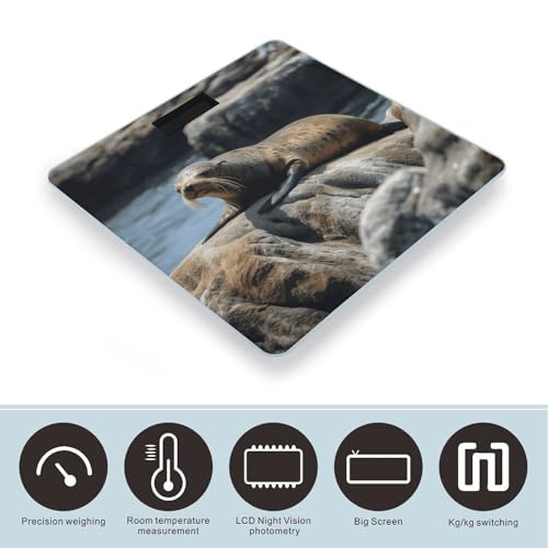 Báscula digital de baño con vidrio templado y pantalla LCD miniatura 3