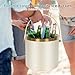 ZORMY 3L Double-Wall Vacuum Insulated Stainless Steel Ice Bucket with Lid & Tong，Wine and Champagne Bucket for Home & Parties（WhiteGold）