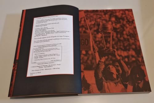 Flamengo 1981 - O Primeiro Ano do Resto de Nossas Vidas