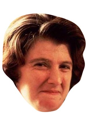 Lynn From Alan Partridge Celebrity Cardboard Party Face Mask Fancy Dress