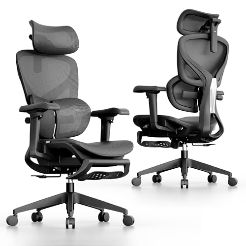 OTO Zenpex Ergonomic Mesh Office Chair with Lumbar Review