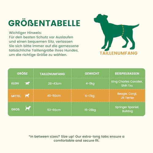 Gardner Pet Einweg-Hundewindeln für Rüden, 30 Stück, Hunde Windeln mit Nässeindikator, 6 Lagen auslaufsicher, Hochsaugfähige Rüdenwindeln für Welpentraining, Markieren, Inkontinenz, Reisen, M