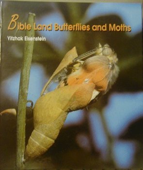 Bible Land Butterflies and Moths by Yitzhak Eis... B01K3PGKEG Book Cover