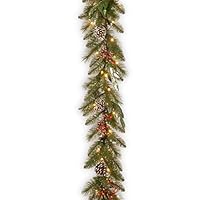 Algopix Similar Product 16 - National Tree Company PreLit