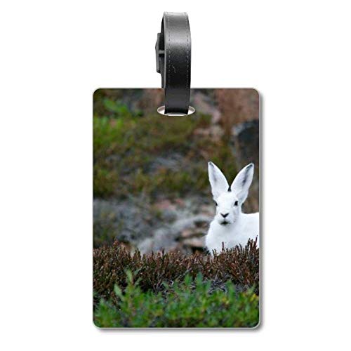 Étiquette de valise motif lapins blancs pour bagage de voyage