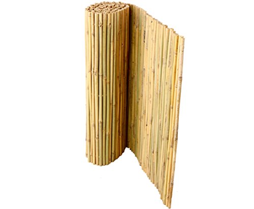 Bali - Esterilla de bambú extremadamente estable, 100 x 300 cm de bambú, cañas de bambú perforadas y conectadas con alambre, 1 m x 3 m