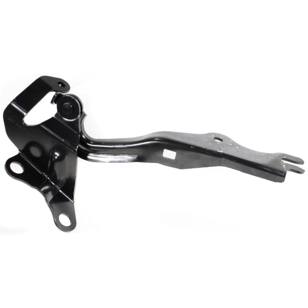 Amazon.com: QYYDSCAR 1pc Hood Hinge Assembly Right Passenger Side 