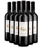Villa d'Erg Syrah Rencontre Sauvage tinto 2023 - Vino de Mesa Francés - Variedades de uva Syrah - 12x75cl