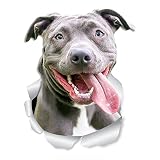 MUEdie Adesivo per Auto 3D per Cani Bully Happy Bulldog Dog Decalcomania in Vinile Impermeabile Accessorio per Auto Adatto per la Decorazione di Auto da Camper 13 cm