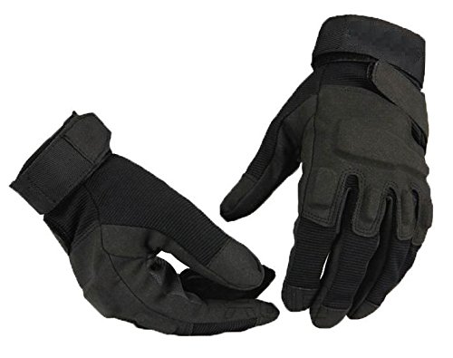 ^NeBJ O[u/ToQ[  ~^[ Robg AEghA/ttBK[ yWL ProductszTACG985 (ubN, qLr)