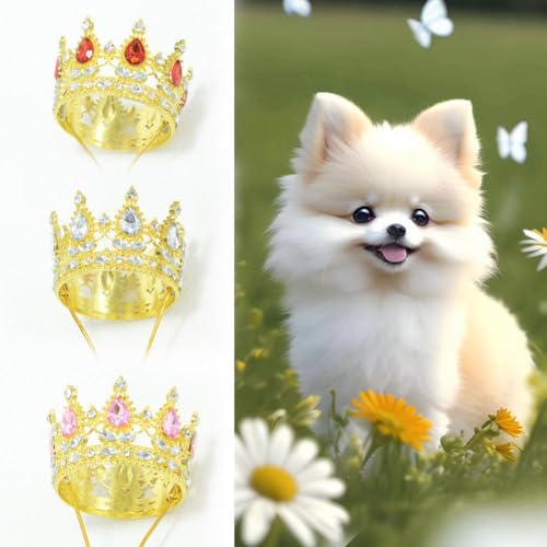 Corona para mascota ajustable con piedras brillantes miniatura 6