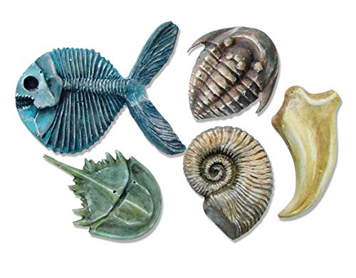 Roylco Fossil Molds - Ammonite, Chirostenotes Claw, Trilobite, King Crab, Gryodus