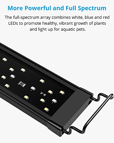 https://m.media-amazon.com/images/I/41wfkCqTMOL._SL500_.jpg