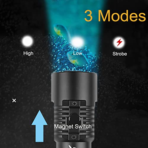 Torcia LED Rcaricabile Professionale Subacquea